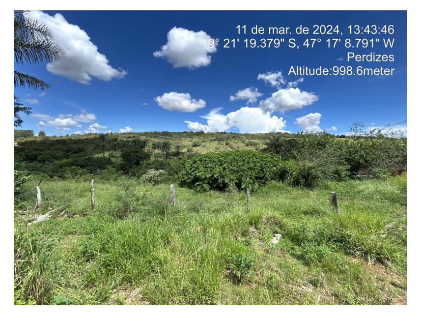 Imagem 1 do Leilão de Terreno - Parque das Flores - Perdizes/MG