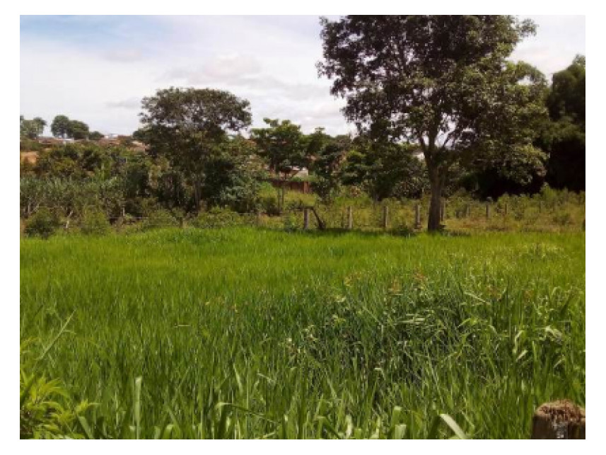 Imagem 1 do Leilão de Terreno - São Sebastião - Jaraguá/GO