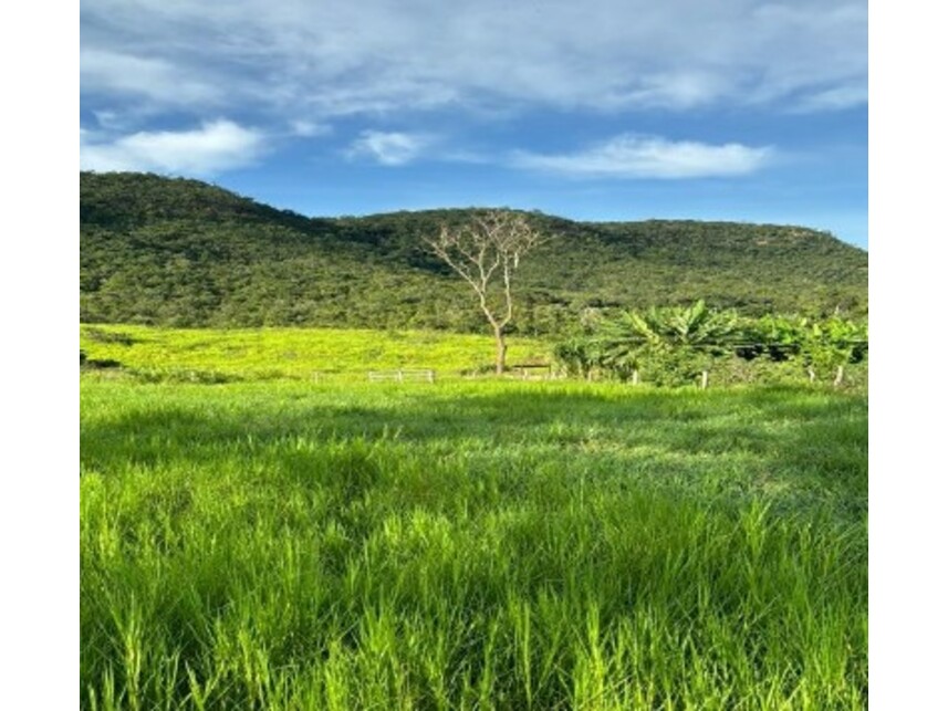 Imagem 2 do Leilão de Fazenda - Zona rural - Rio Verde/GO