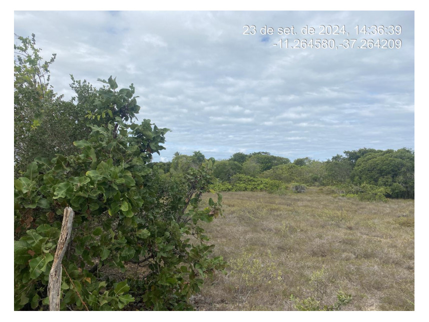 Imagem 2 do Leilão de Terreno - Loteamento Vila Rica do Abais - Itaporanga d'Ajuda/SE