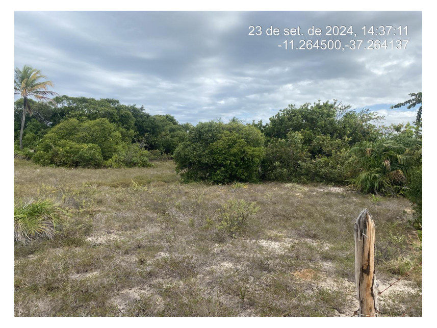 Imagem 1 do Leilão de Terreno - Loteamento Vila Rica do Abais - Itaporanga d'Ajuda/SE