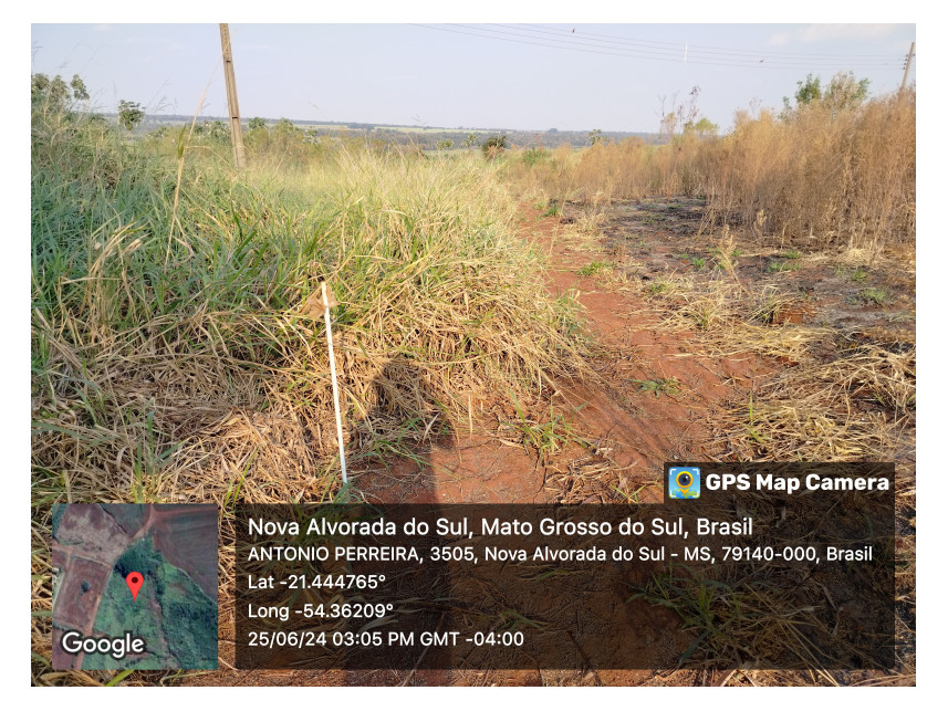 Imagem 1 do Leilão de Terreno - Loteamento Maria de Lourdes Marson Expansão III - Nova Alvorada do Sul/MS