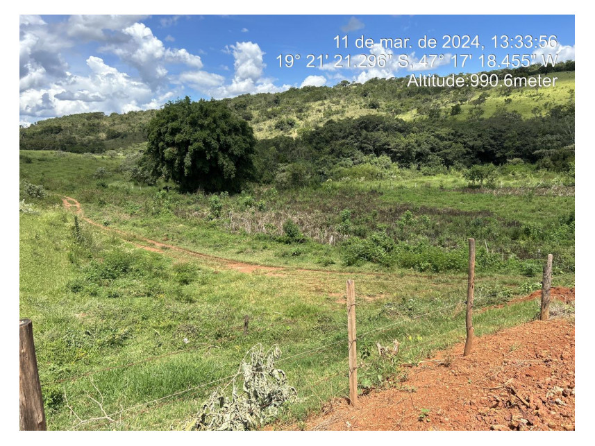 Imagem 17 do Leilão de Terreno - Parque das Flores - Perdizes/MG