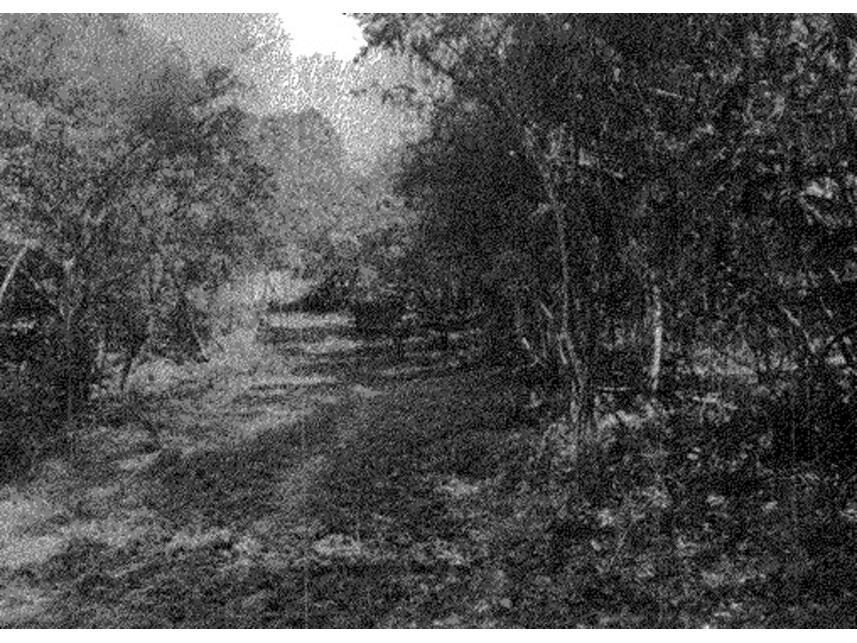 Imagem 2 do Leilão de Terreno - Área Rural - Cotia/SP