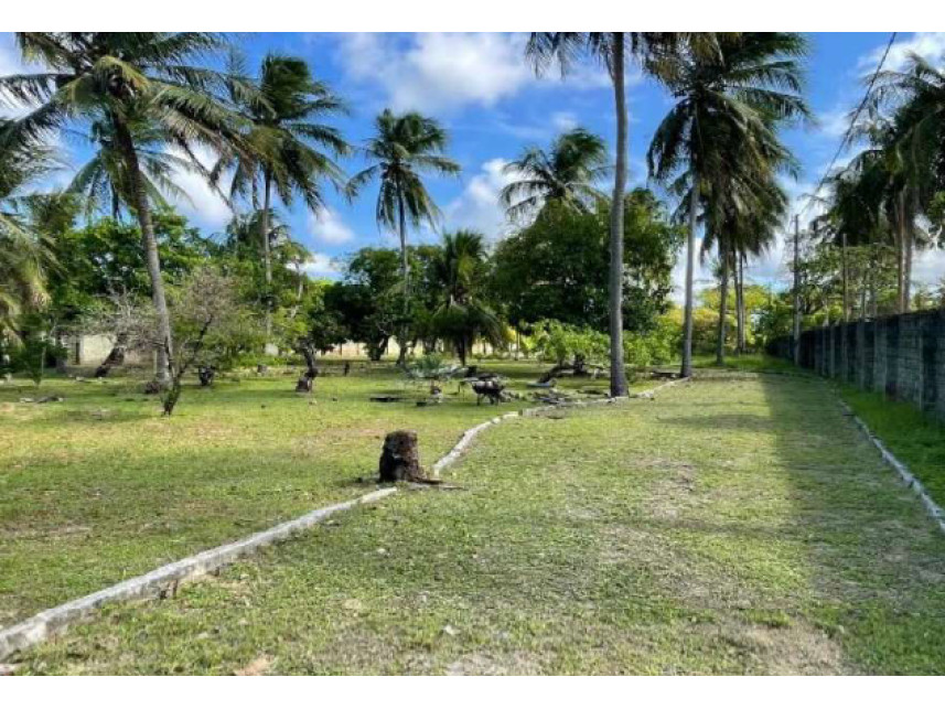 Imagem 10 do Leilão de Casas - Carnaubinha - Paracuru/CE