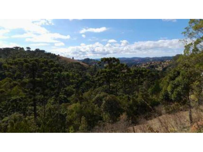 Imagem 6 do Leilão de Terreno - Alto da Boa Vista - Campos do Jordão/SP