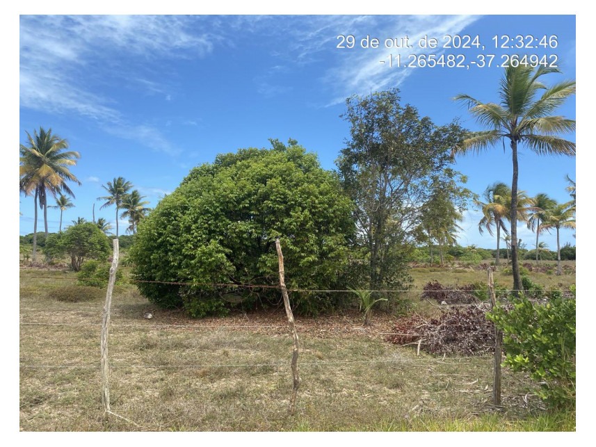 Imagem 2 do Leilão de Terreno - Loteamento Vila Rica do Abais - Itaporanga d'Ajuda/SE