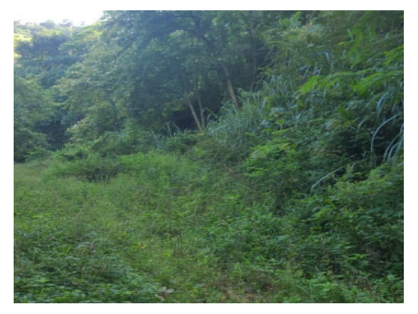 Imagem 1 do Leilão de Terreno - Jacarepaguá - Rio de Janeiro/RJ