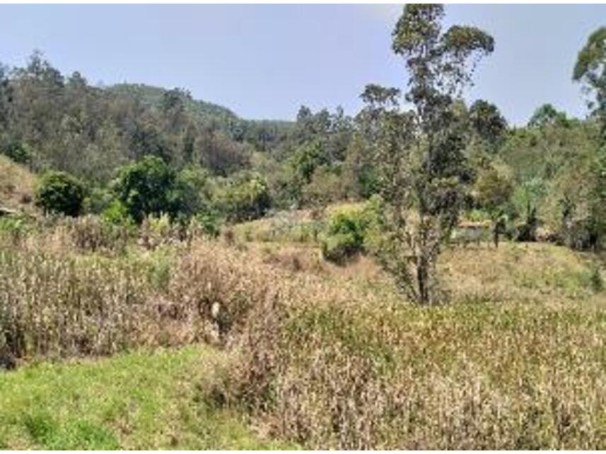 Imagem 25 do Leilão de Área Rural - Bairro Dos Alves - Joanópolis/SP