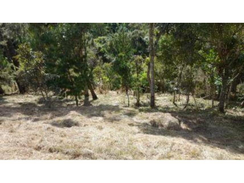Imagem 4 do Leilão de Terreno - Alto da Boa Vista - Campos do Jordão/SP