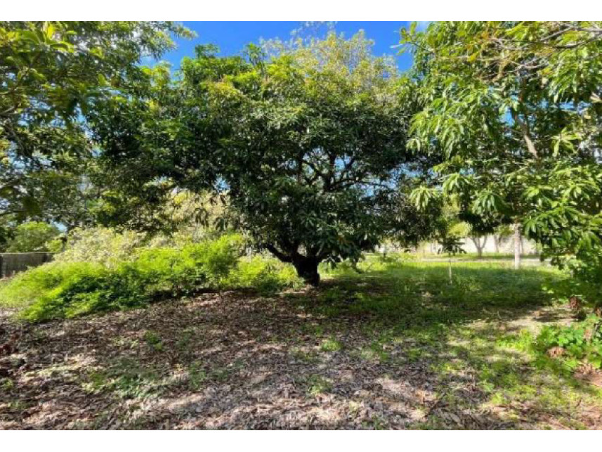 Imagem 4 do Leilão de Casas - Carnaubinha - Paracuru/CE