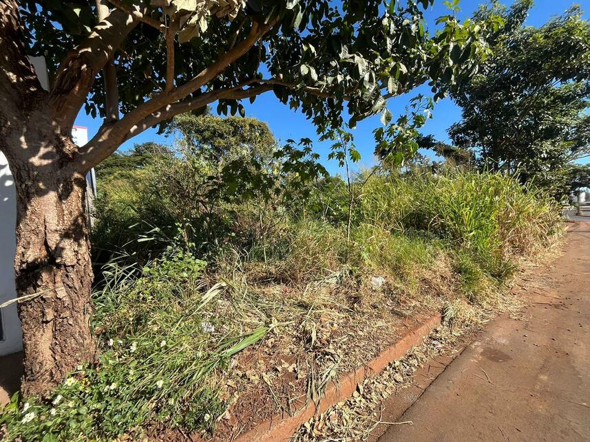 Imagem 18 do Leilão de Residencial / Terreno - Parque dos Buritis - Rio Verde/GO