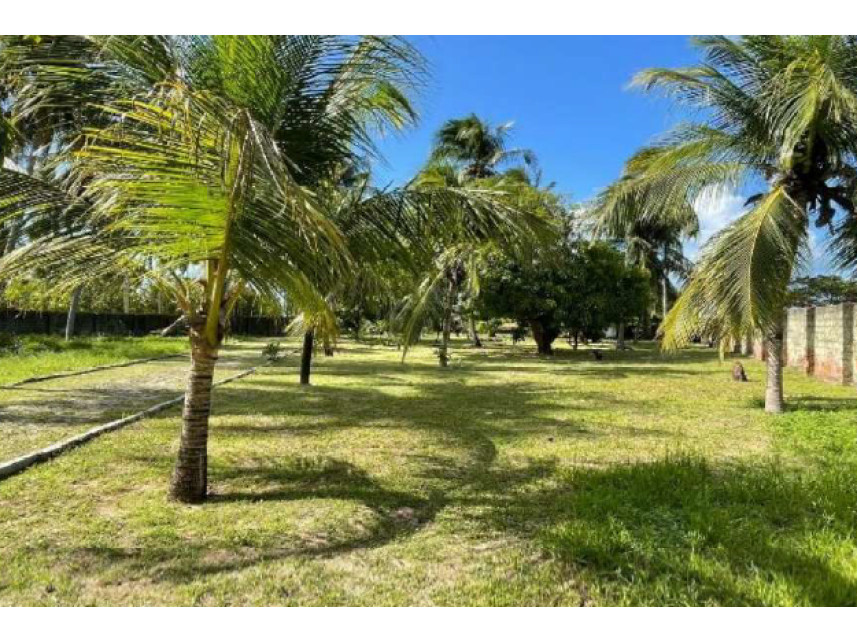 Imagem 7 do Leilão de Casas - Carnaubinha - Paracuru/CE