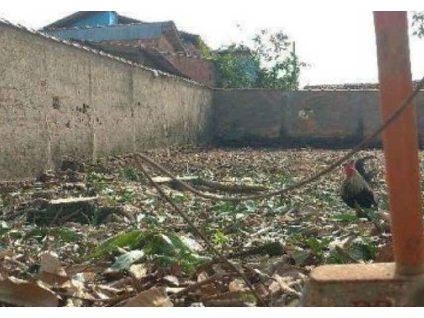 Imagem 4 do Leilão de Terreno - Santo Antônio - Divisa Nova/MG