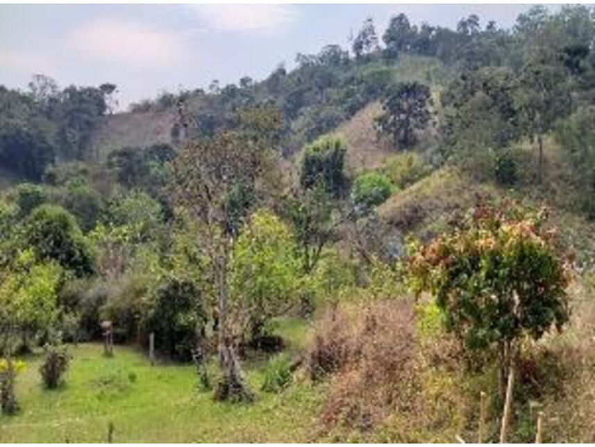 Imagem 24 do Leilão de Área Rural - Bairro Dos Alves - Joanópolis/SP