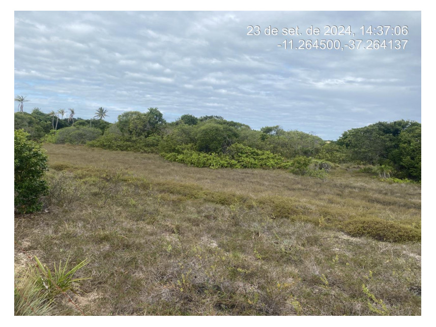 Imagem 1 do Leilão de Terreno - Loteamento Vila Rica do Abais - Itaporanga d'Ajuda/SE