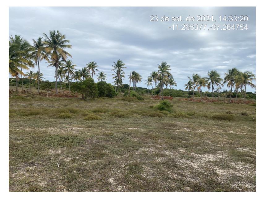 Imagem 1 do Leilão de Terreno - Loteamento Vila Rica do Abais - Itaporanga d'Ajuda/SE