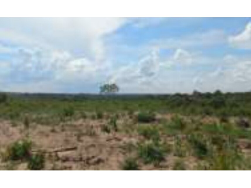 Imagem 2 do Leilão de Terreno - Residencial Jardim Primavera - Ribeirão Cascalheira/MT