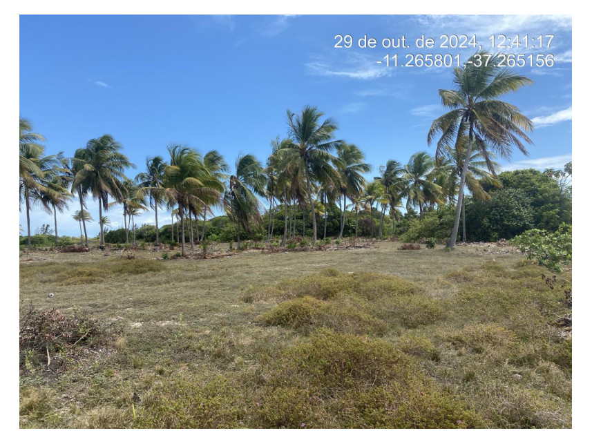 Imagem 1 do Leilão de Terreno - Loteamento Vila Rica do Abais - Itaporanga d'Ajuda/SE