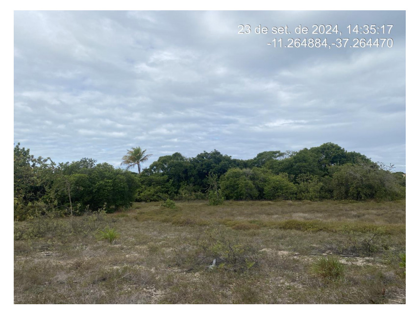 Imagem 1 do Leilão de Terreno - Loteamento Vila Rica do Abais - Itaporanga d'Ajuda/SE