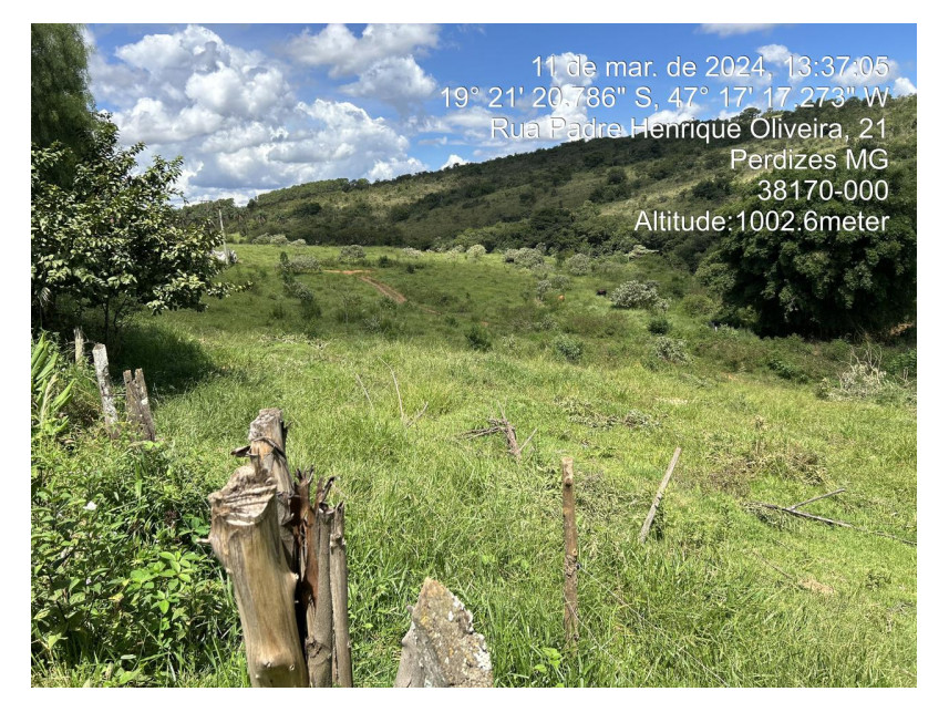Imagem 15 do Leilão de Terreno - Parque das Flores - Perdizes/MG