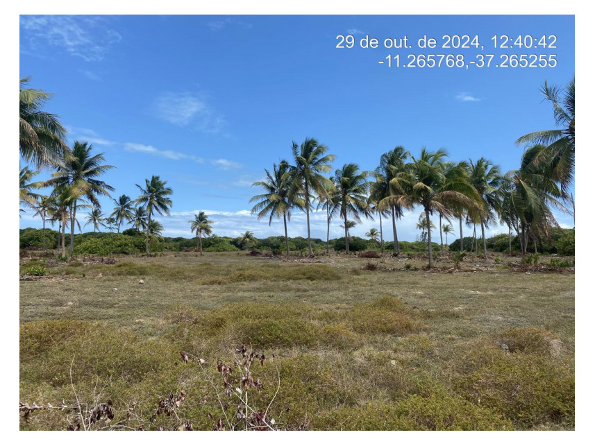 Imagem 1 do Leilão de Terreno - Loteamento Vila Rica do Abais - Itaporanga d'Ajuda/SE