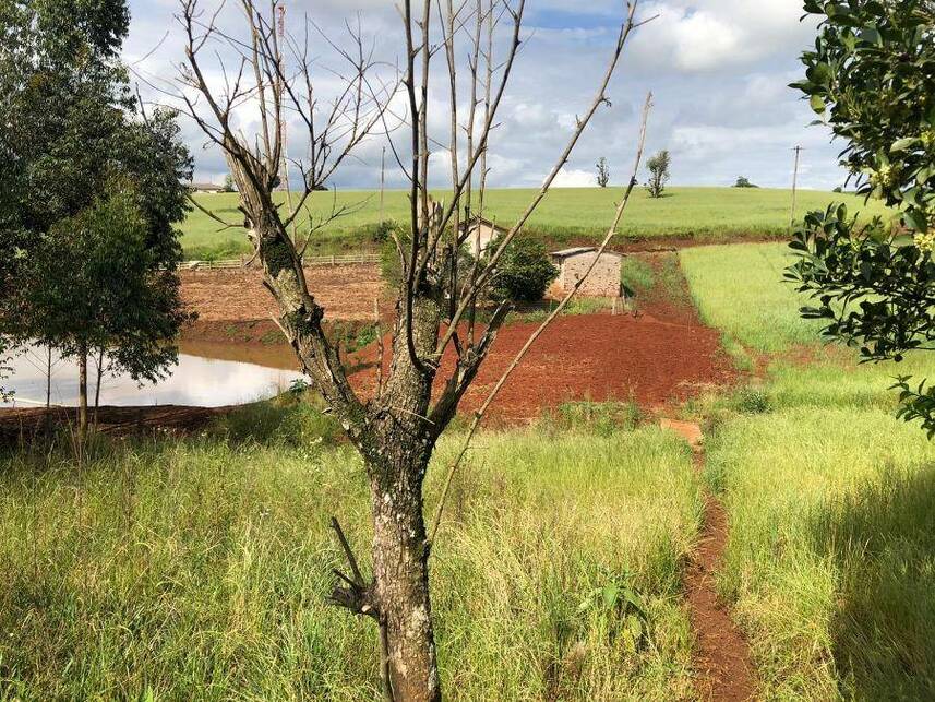 Imagem 12 do Leilão de Casa - Centro - São Pedro das Missões/RS