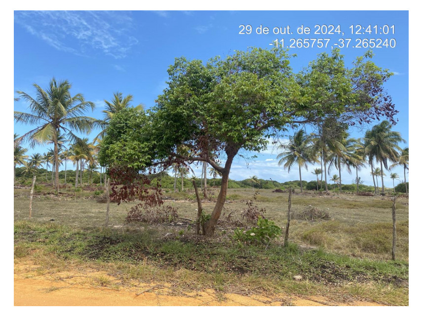 Imagem 2 do Leilão de Terreno - Loteamento Vila Rica do Abais - Itaporanga d'Ajuda/SE