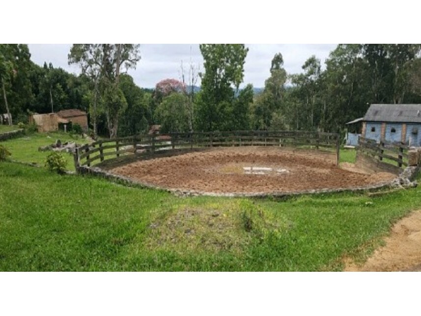 Imagem 4 do Leilão de Área Rural - Monte Bonito - Pelotas/RS