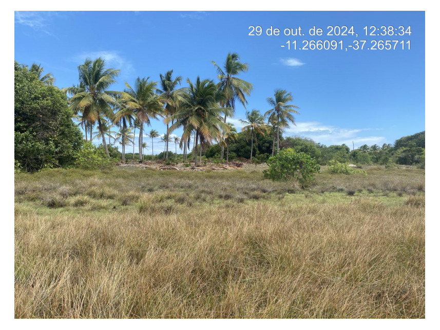 Imagem 1 do Leilão de Terreno - Loteamento Vila Rica do Abais - Itaporanga d'Ajuda/SE
