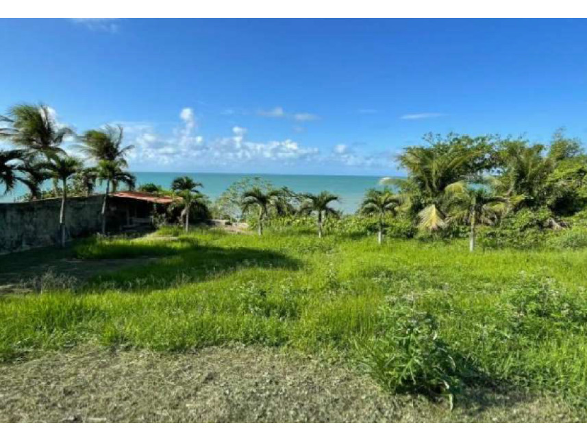 Imagem 14 do Leilão de Casas - Carnaubinha - Paracuru/CE
