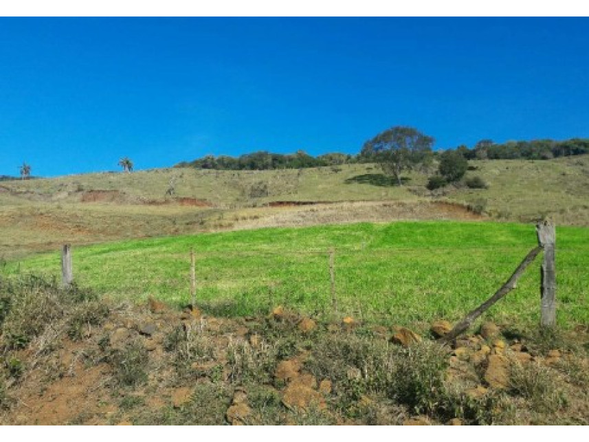 Imagem 6 do Leilão de Área Rural - Zona Rural - Saltinho/SC