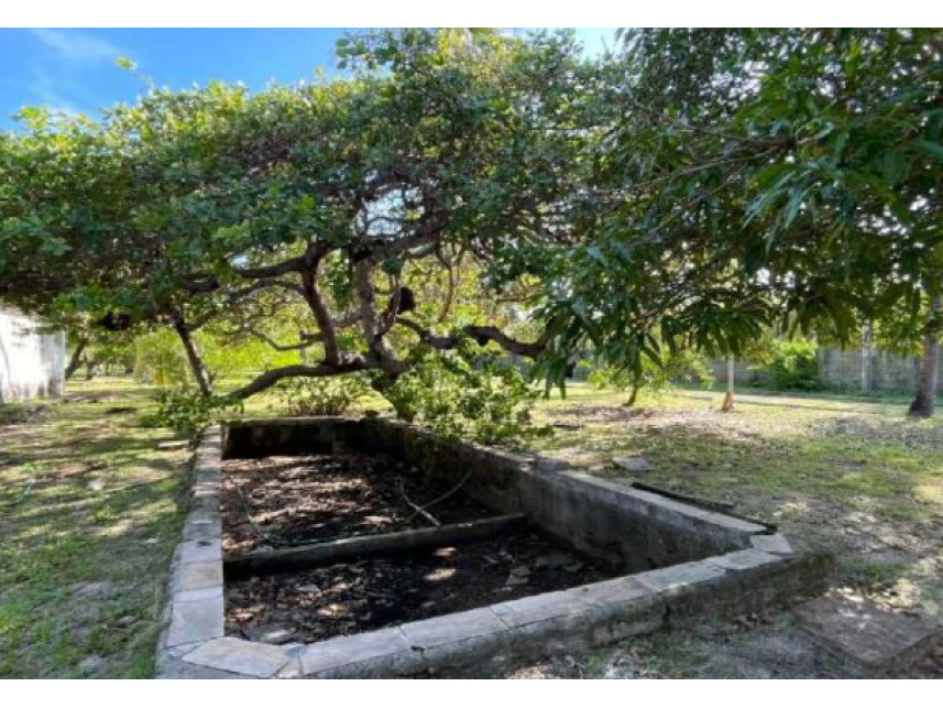 Imagem 24 do Leilão de Casas - Carnaubinha - Paracuru/CE