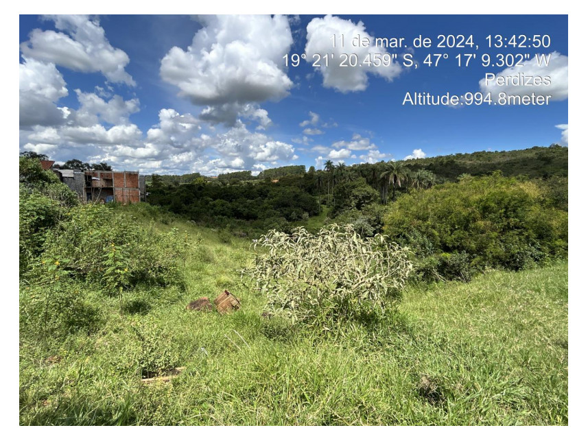 Imagem 5 do Leilão de Terreno - Parque das Flores - Perdizes/MG