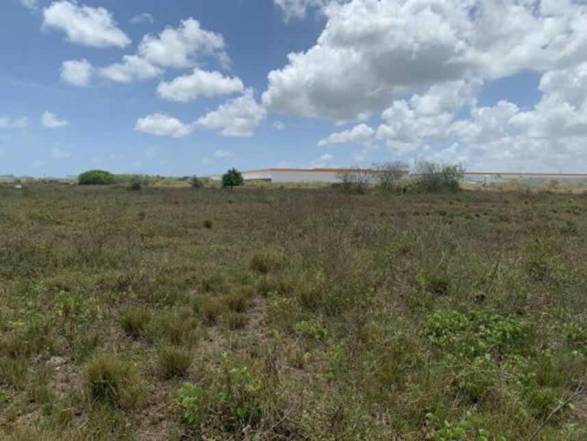 Imagem 6 do Leilão de Terreno - Ponte dos Carvalhos - Cabo de Santo Agostinho/PE