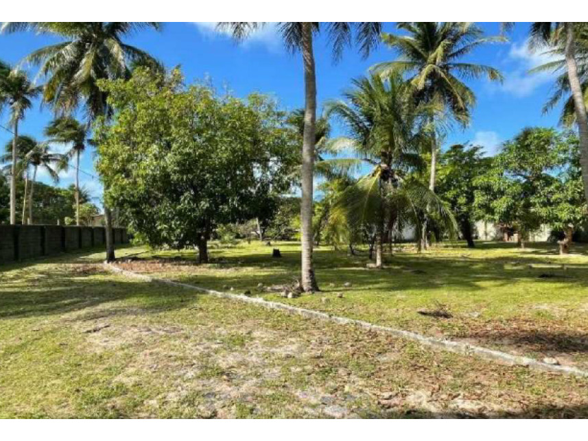 Imagem 9 do Leilão de Casas - Carnaubinha - Paracuru/CE