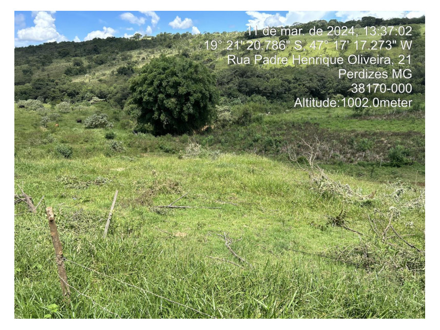 Imagem 14 do Leilão de Terreno - Parque das Flores - Perdizes/MG