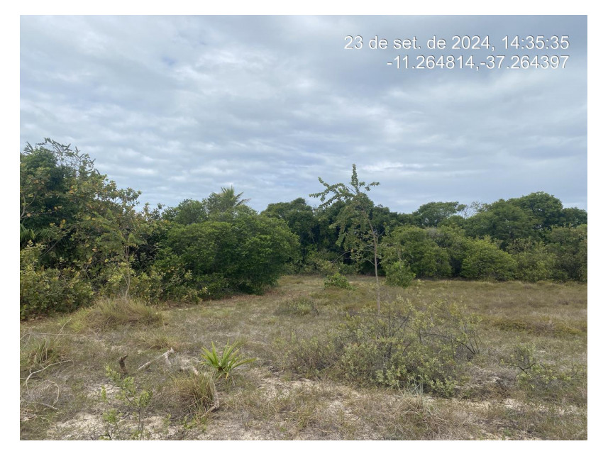 Imagem 2 do Leilão de Terreno - Loteamento Vila Rica do Abais - Itaporanga d'Ajuda/SE