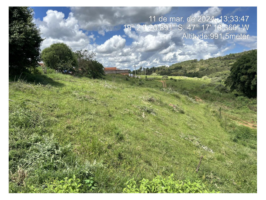 Imagem 2 do Leilão de Terreno - Parque das Flores - Perdizes/MG