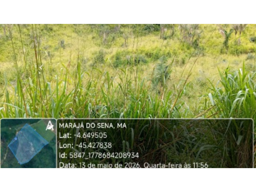 Imagem 2 do Leilão de Área Rural - Zona Rural - Marajá do Sena/MA