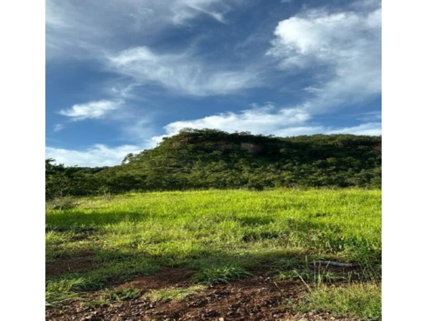 Imagem 5 do Leilão de Fazenda - Zona rural - Rio Verde/GO