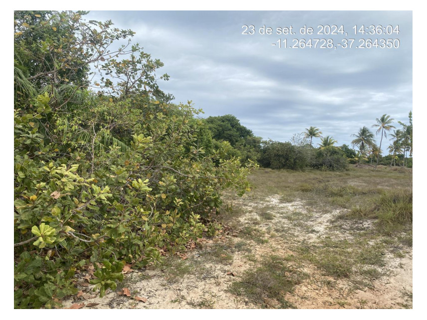 Imagem 2 do Leilão de Terreno - Loteamento Vila Rica do Abais - Itaporanga d'Ajuda/SE
