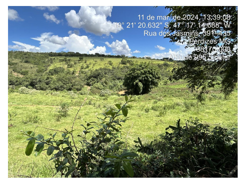 Imagem 9 do Leilão de Terreno - Parque das Flores - Perdizes/MG