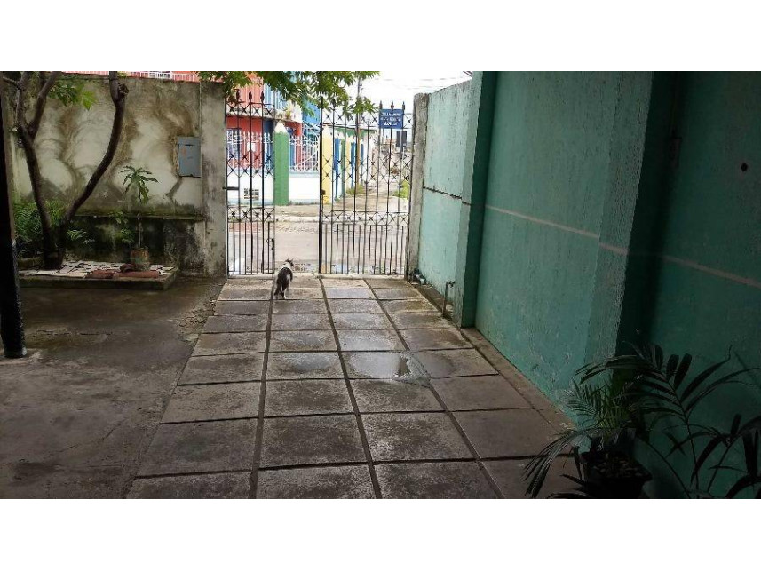 Imagem 26 do Leilão de Casa - Prado - Maceió/AL