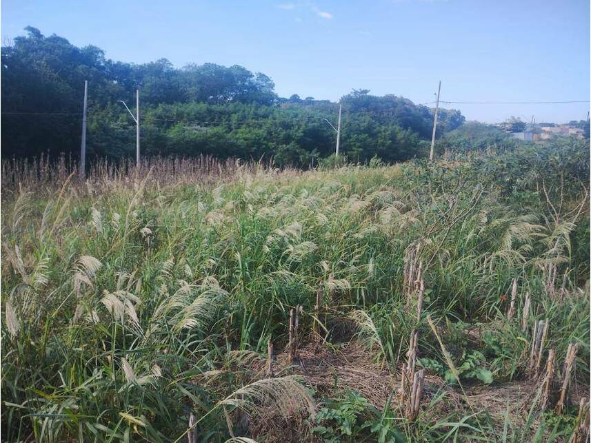 Imagem 3 do Leilão de Terreno - Centro - Cafelândia/PR