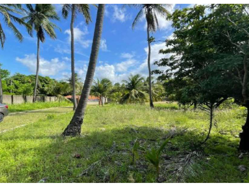 Imagem 5 do Leilão de Casas - Carnaubinha - Paracuru/CE