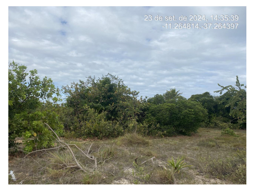 Imagem 2 do Leilão de Terreno - Loteamento Vila Rica do Abais - Itaporanga d'Ajuda/SE