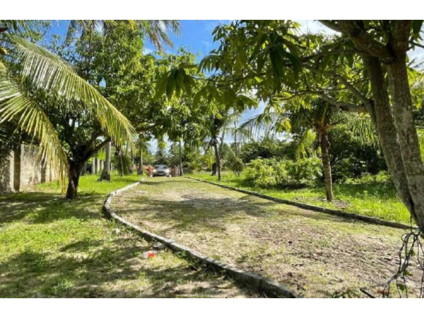 Imagem 8 do Leilão de Casas - Carnaubinha - Paracuru/CE