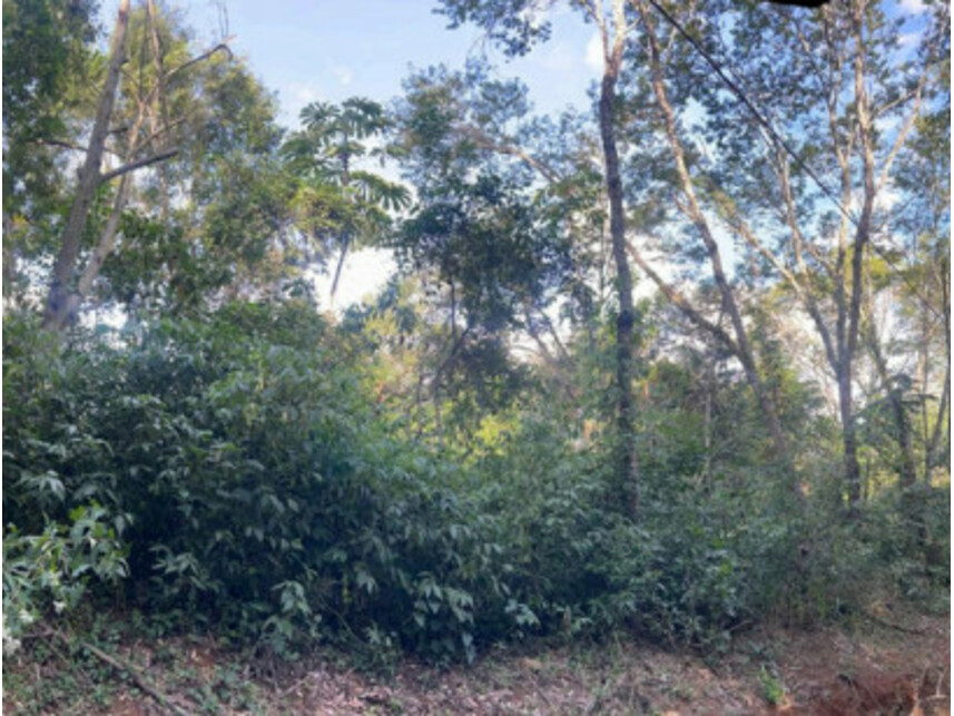 Imagem 4 do Leilão de Terreno - Área Rural - Tuiuti/SP