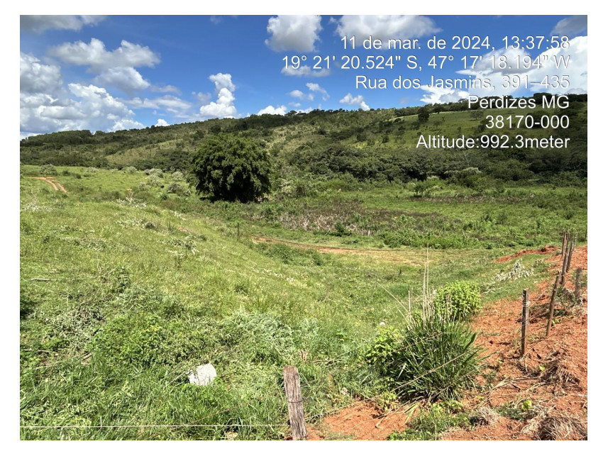 Imagem 11 do Leilão de Terreno - Parque das Flores - Perdizes/MG